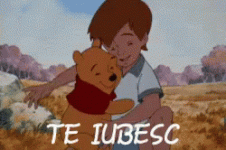 teiubesc-iubire.gif