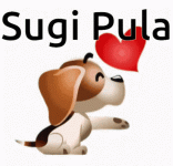 sugi-pula.gif