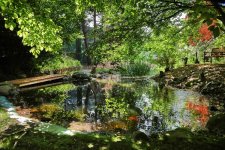WS_Garten_020.jpg