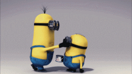 IMG_2551.gif