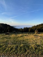 IMG_0484.jpeg