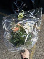 IMG_7145.jpeg
