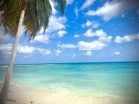 IMG_9457.jpeg