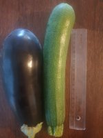 20260523_203611.jpg