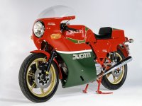 Duc.jpg